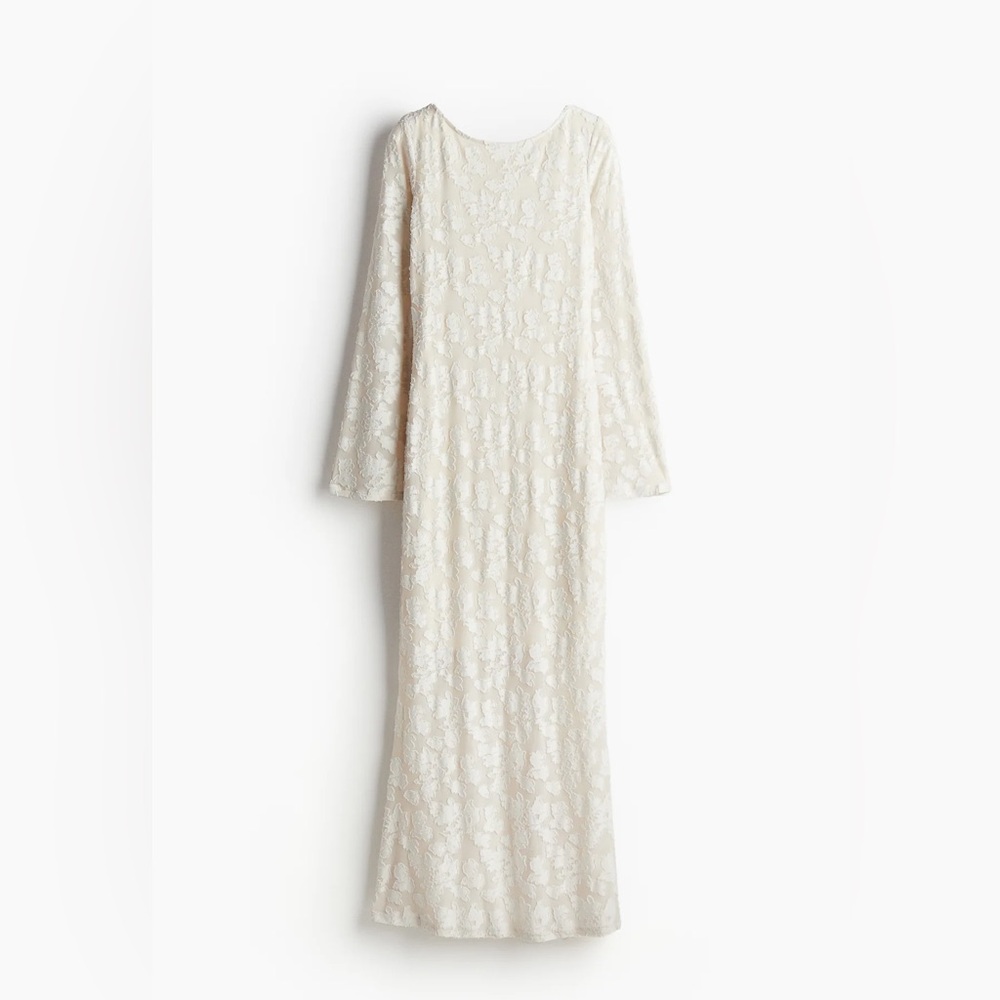 H&M Mermaid Lace Dress